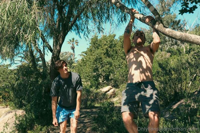 More trees adventures and boys having fun on a tree. It appe..