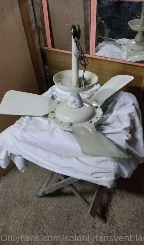 Who said Fans are not mean to be used to iron? 🧐