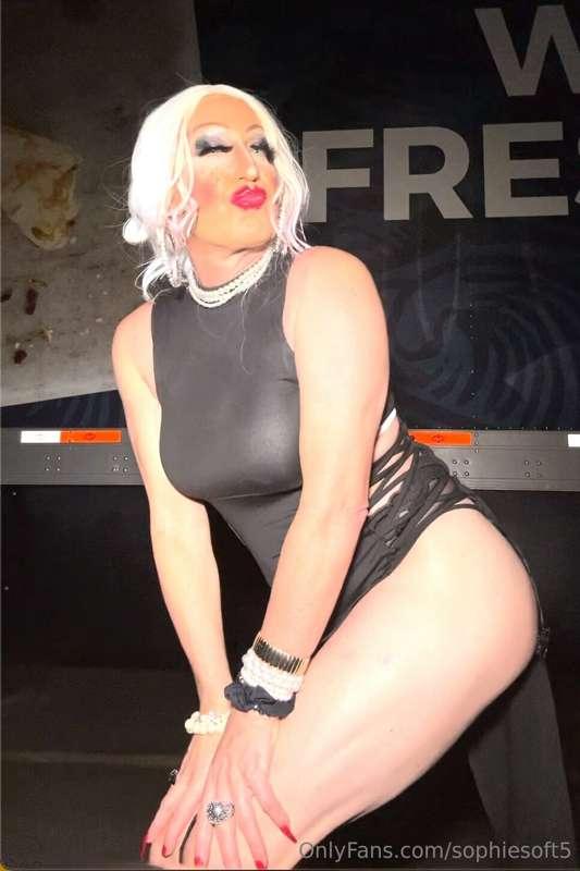 sophiesoft5 image #1