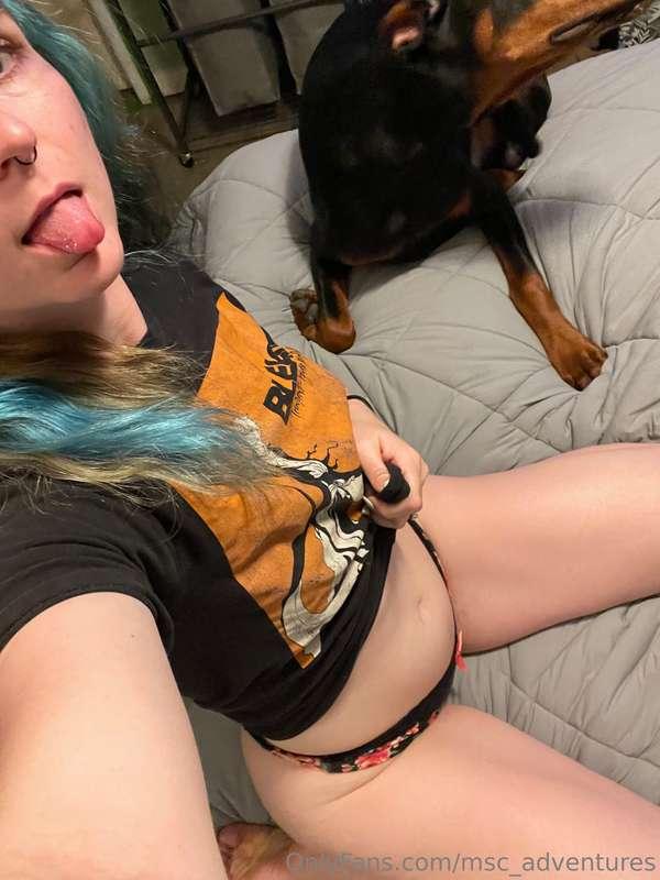 msc_adventures image #2