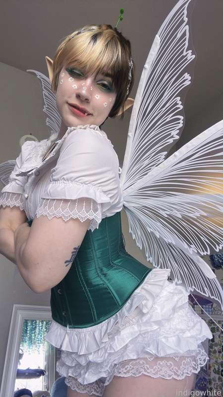 indigowhite image #412