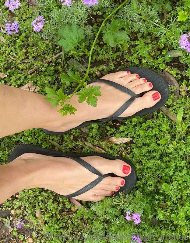 Red toes ❤️ 👣 🍃