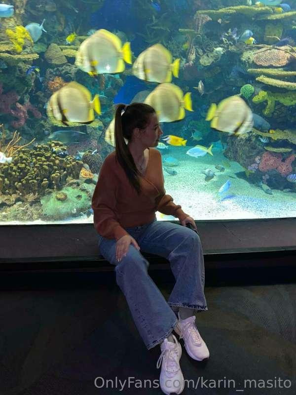 i’m and other OnlyFans bloggers 🐟🐠🐟🐠