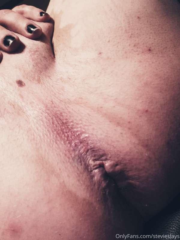 stevieslays image #3