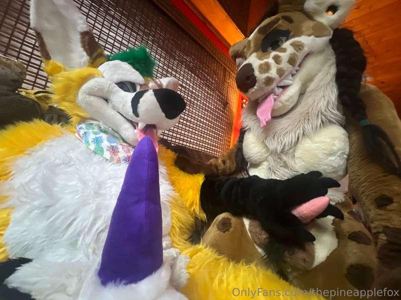 thepineapplefox image #8