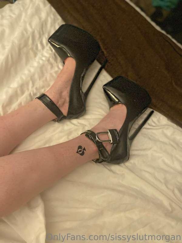Mistress has started a new training regiment, she says I wil..