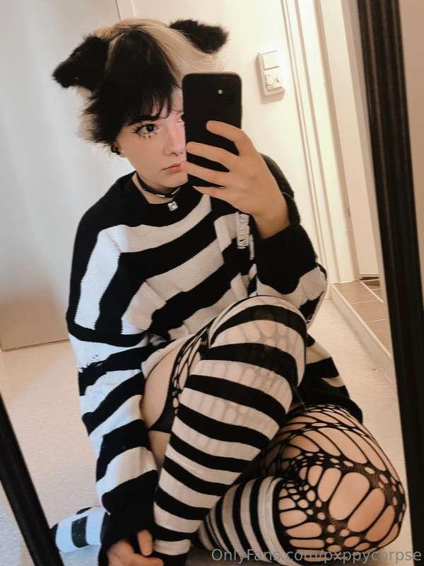 pxppycorpse image #4
