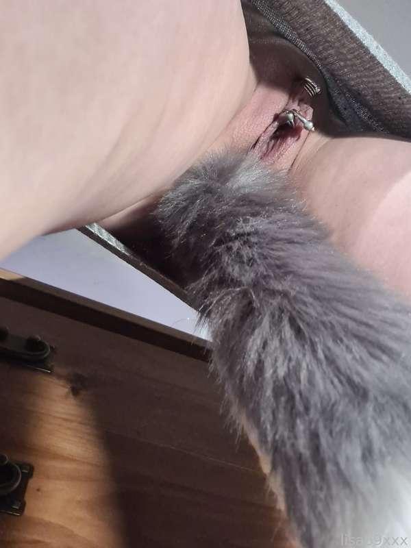 🐺
Animal upskirts 

#upskirt #tailplug #anal