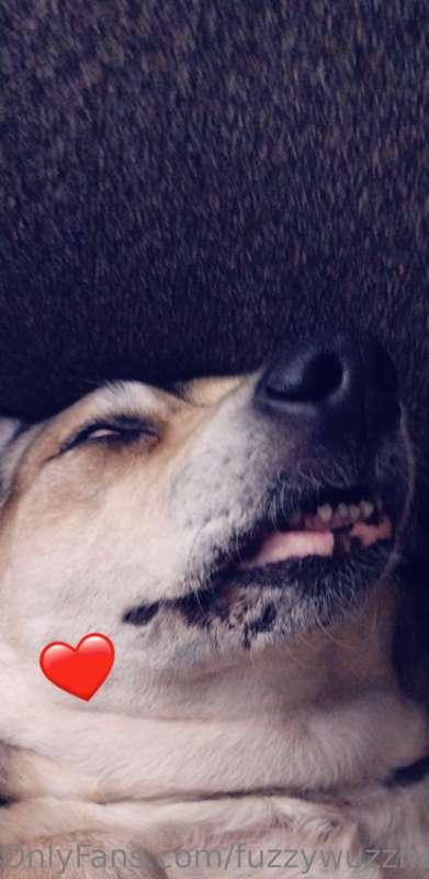 fuzzywuzzher image #2