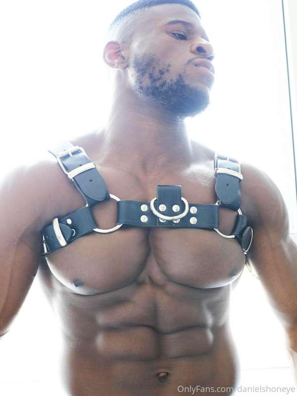 danielshoneye image #2