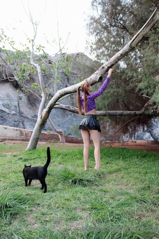 The faerie witch identifying the location for the dom invoca..