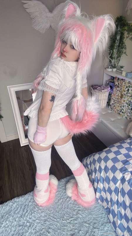 indigowhite image #165