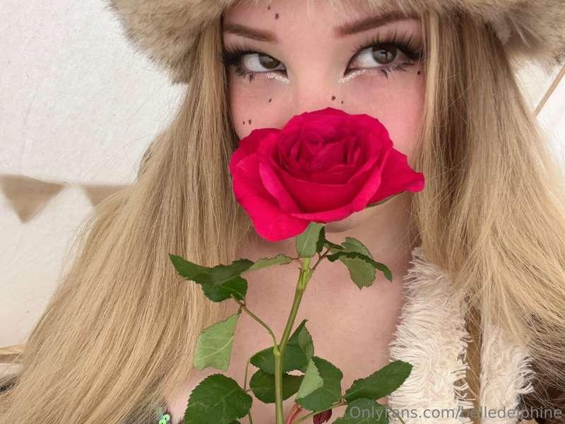 🏕🍃🌹