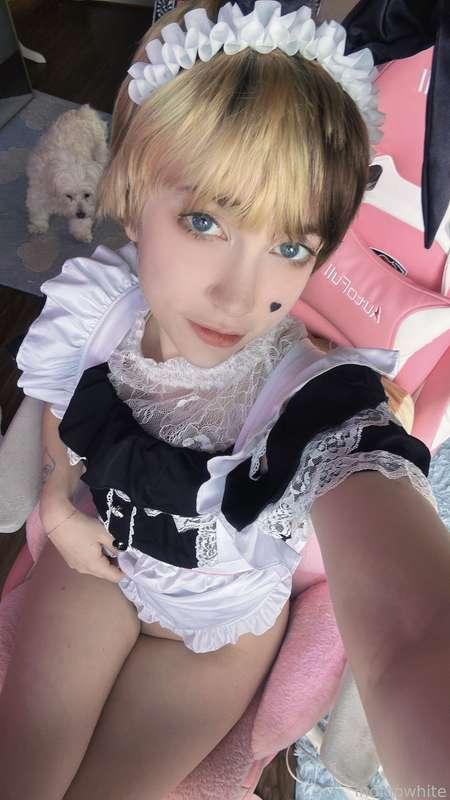 indigowhite image #18