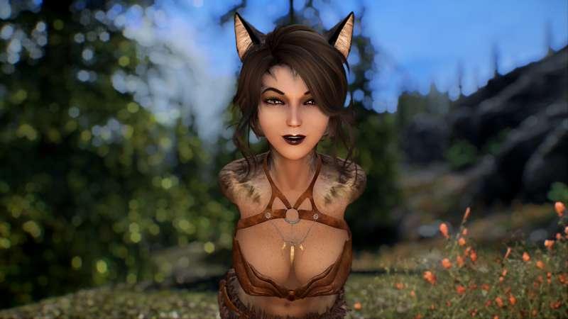 "Why Can't Cats And Dogs Get Along?" Video Out And Some More Content And Updates