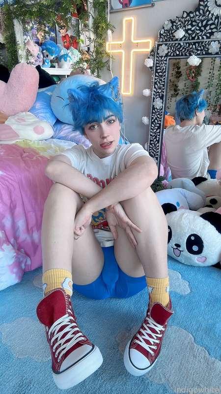 indigowhite image #71