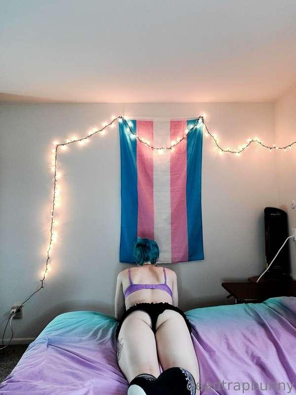 deadtrapbunny image #10