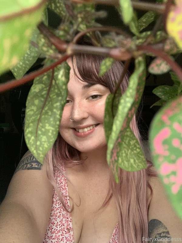 Do u like my pink polka dot plant? 🪴🌸