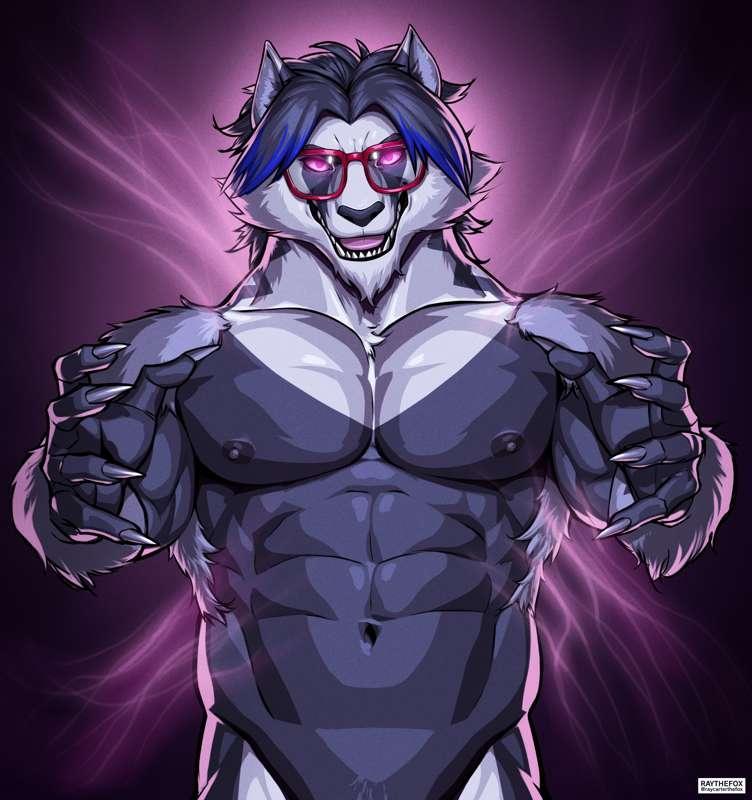 COMMISSION: Armail