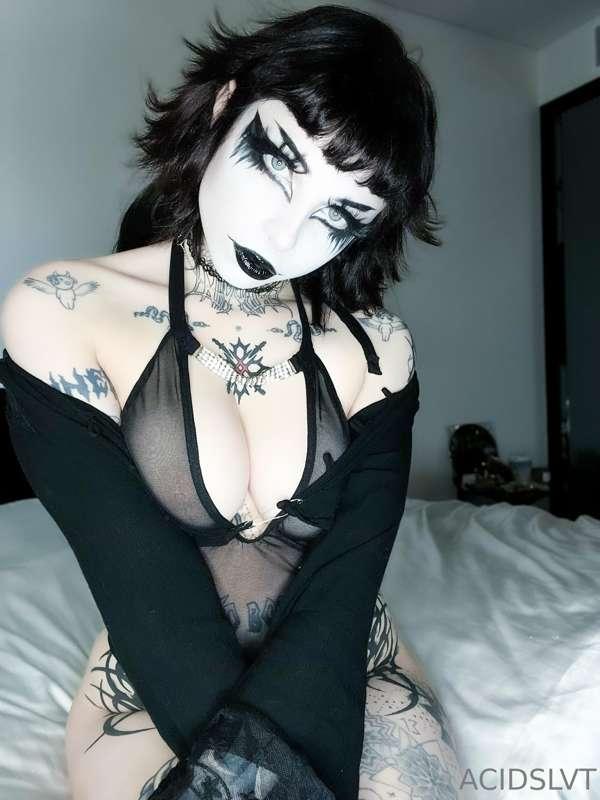 Hello pets <3