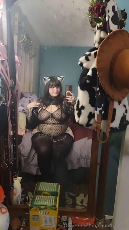 🐈‍⬛️ 