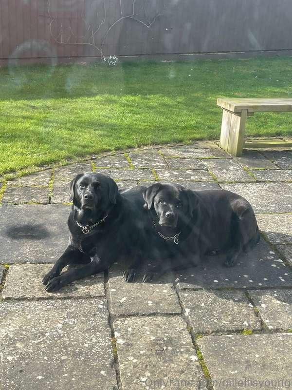Poppy update …. She is doing her best ,, she has had a bit o..