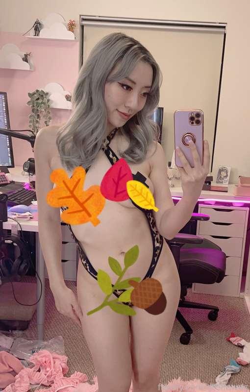 stellewds image #0