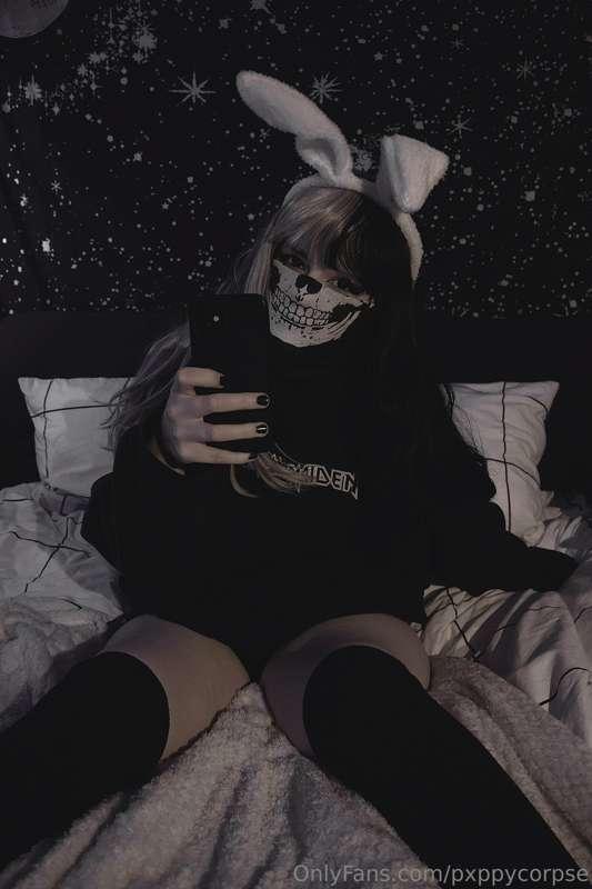 pxppycorpse image #1