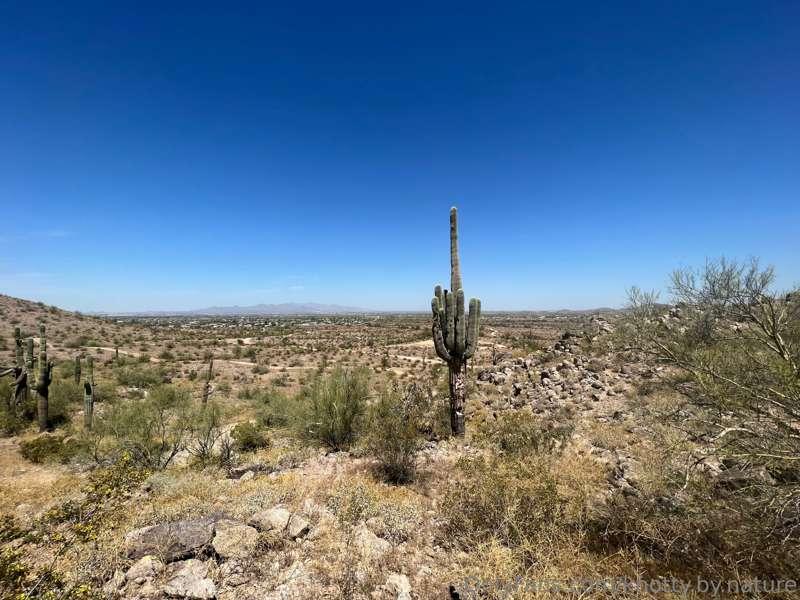 knotty.by.nature image #1