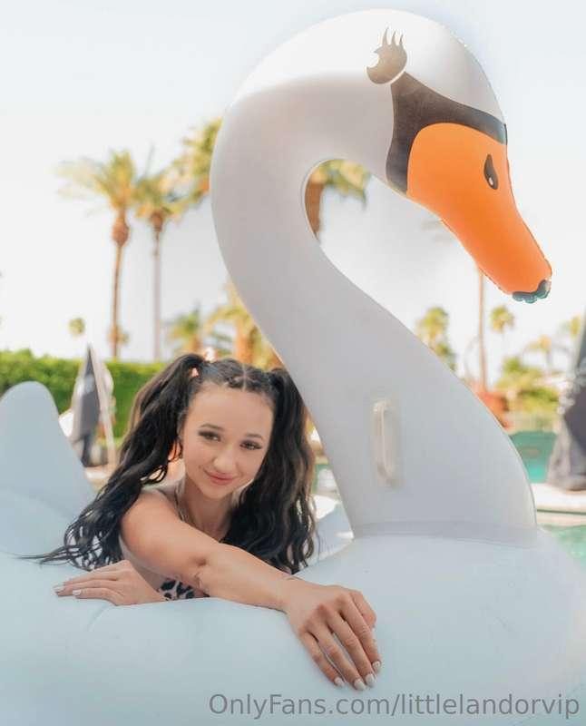 like my swan?