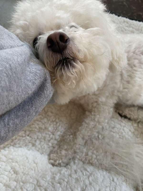 Sasha ❤️