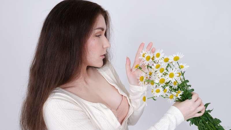 Chamomile 🌼