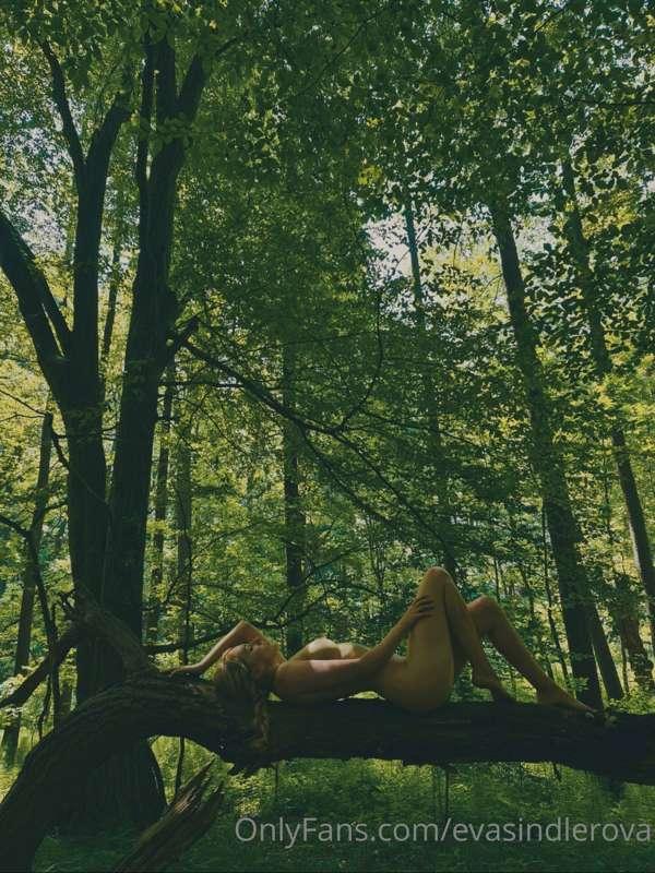 evasindlerova image #6