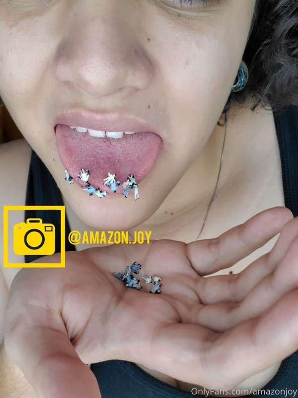Vore anyone ?