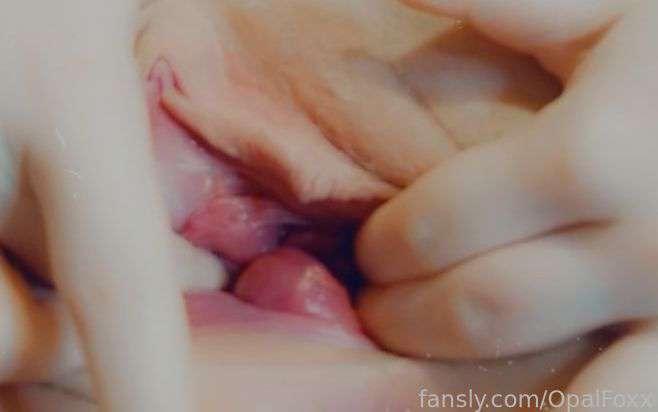 opalfoxx image #15