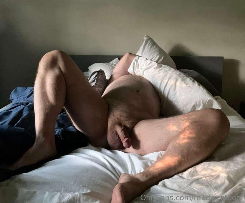 m1dwestbear image #3