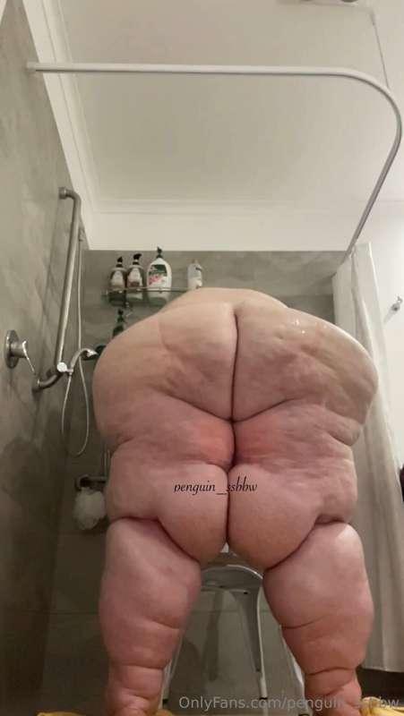 penguin_ssbbw image #7