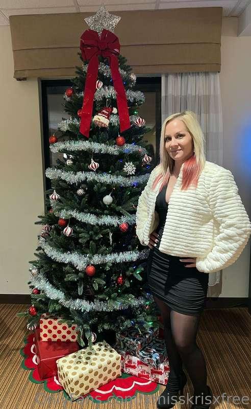 🎄🎄🎄