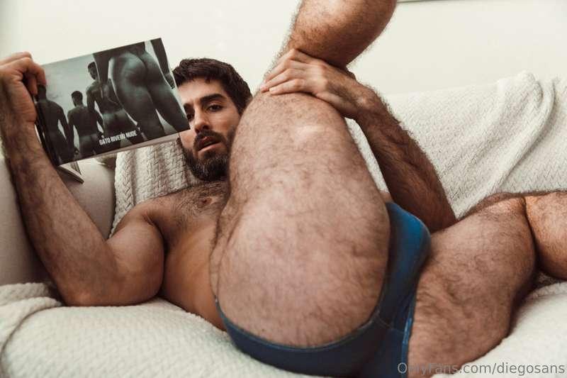 diegosans image #6
