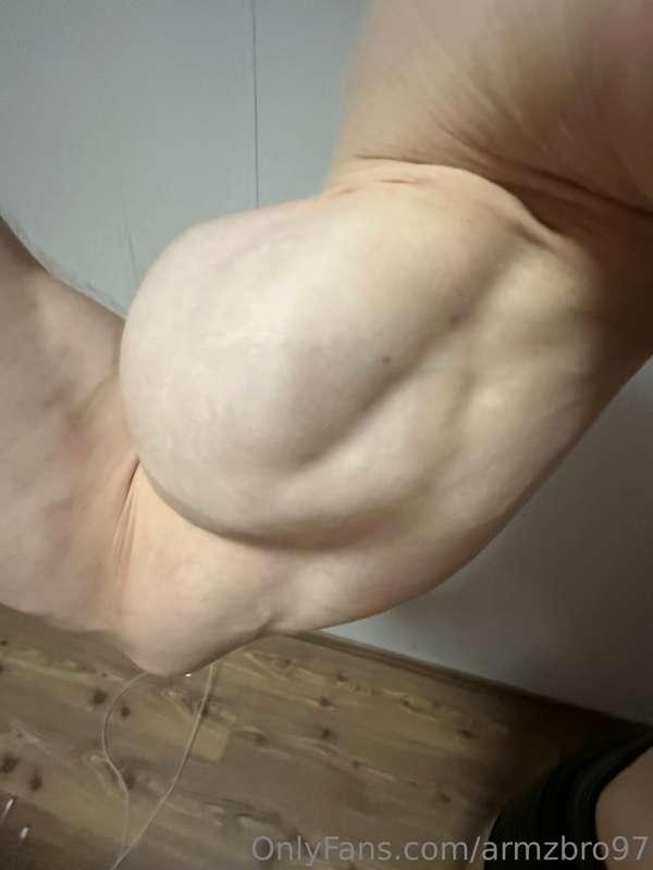 armzbro97 image #1