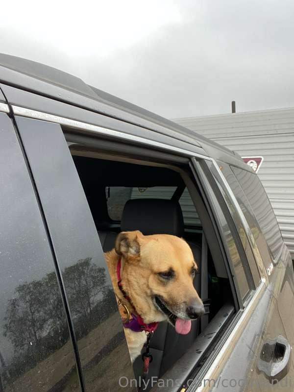 Took puddles camping this week :)