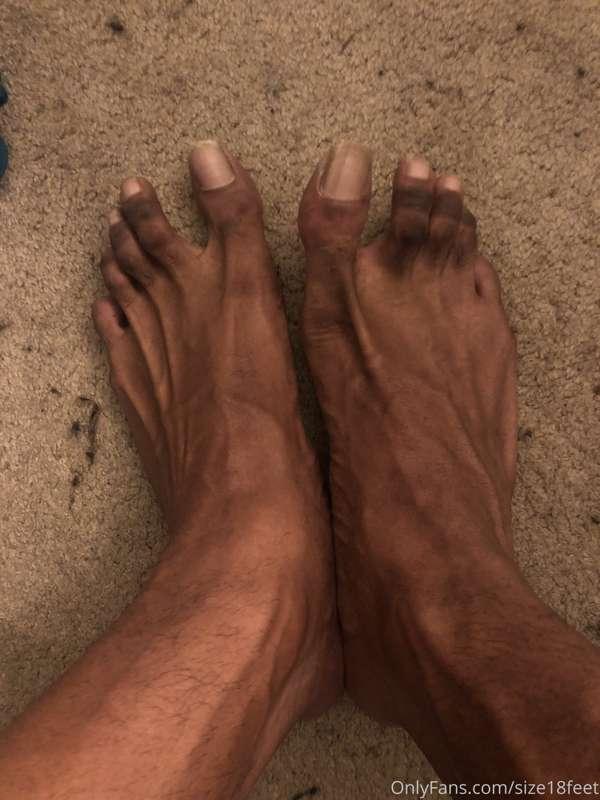 Veins