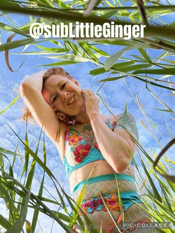 Kinkier than a Walmart hose!•BDSM•Solo•ANAL•Partner🔗 @subLit..