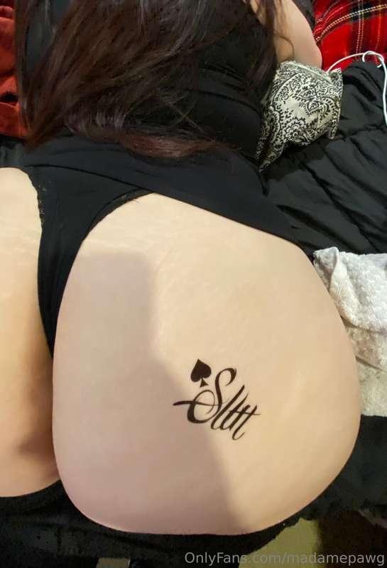 madamepawg image #32