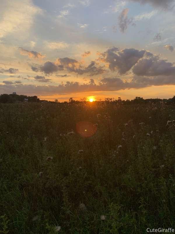 Ended up in a park in Quebec to watch a sunset and it was ma..