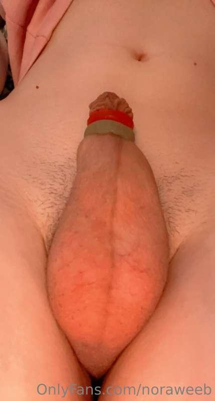 I may have gotten bored when eating gummy’s so here’s this. ..