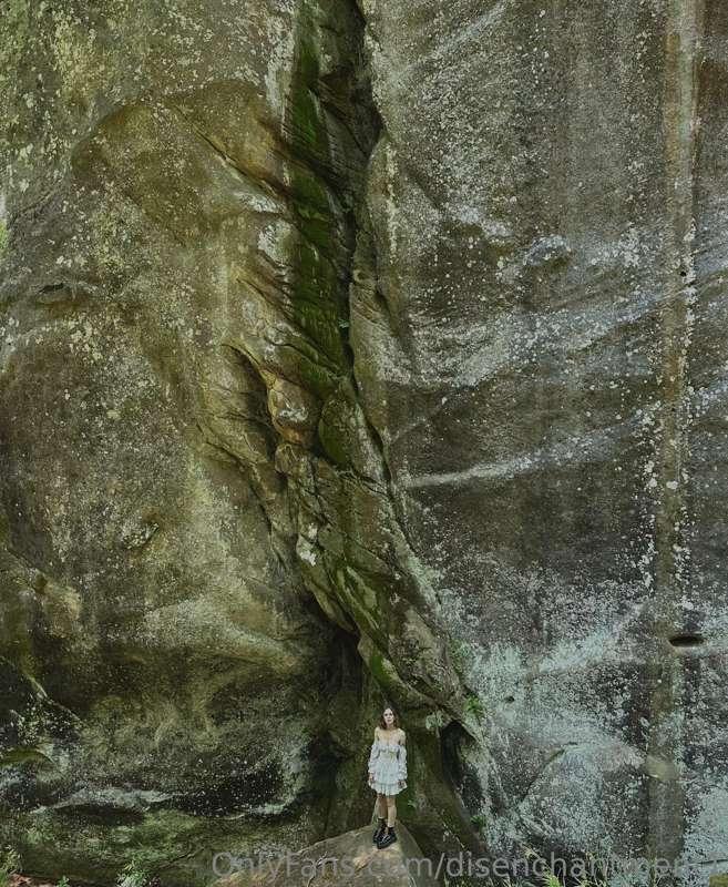 disenchantment1 image #3