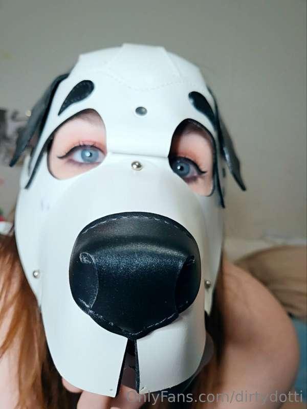 Giving paws like a good girl.