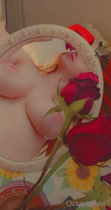 🥀🖤
