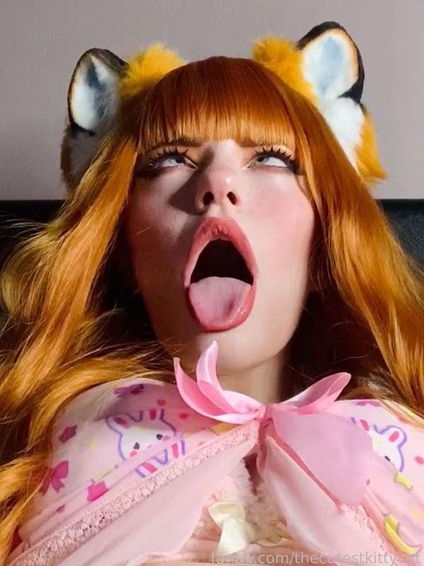 thecutestkittycat image #7